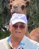 Chandler is single in Morriston, FL USA