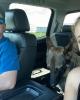 Joey is single in Michigan City, IN USA