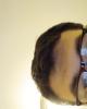 Zane is single in Moorefield, WV USA