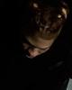 Heem is single in Pooler, GA USA