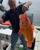 Rod is single in Susanville, CA USA