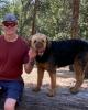 Robert is single in Buena Vista, CO USA