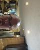 Jonathon is single in Kiln, MS USA