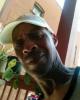 Kenny is single in West Hartford, CT USA
