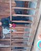 Manuel is single in Chula Vista, CA USA
