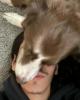 Aaron is single in Commerce City, CO USA