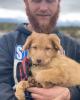 Forrest is single in Austin, CO USA