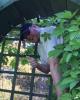 Kyle is single in Coeur d'Alene, ID USA