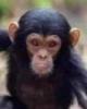 Carl is single in Nitro, WV USA