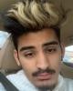 Dev is single in Des Plaines, IL USA