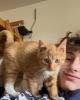 Gavin is single in Allendale, MI USA