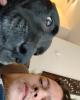 John is single in Ravenna, OH USA