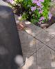 Juan is single in San Mateo, CA USA