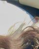 Jessica is single in Chandler, AZ USA