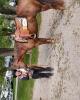 Shanna is single in Fairland, IN USA