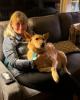 Ellen is single in North Chatham, MA USA