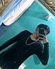 Elionzo is single in Tolleson, AZ USA