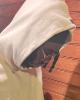 Abe is single in Enon, VA USA