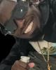 Ronel is single in Downtown, FL USA