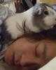 Pham is single in Fogelsville, PA USA