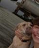 Dewey is single in Denham Springs, LA USA