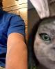 Ryan is single in Hoover, AL USA