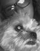 Cassidy is single in Toms River, NJ USA