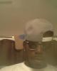 Bus is single in Chesapeake, VA USA