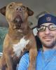 Josh is single in Utica, NY USA