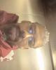 Devon is single in Brownsville, NY USA