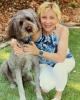 Brenda is single in Dardenne Prairie, MO USA