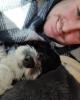 Ethan is single in Richmond (Henrico co.), VA USA