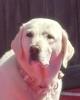Bennett is single in Chicago, IL USA
