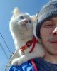 Logan is single in La Crosse, WI USA