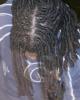 Dennis is single in Pearland (Harris co.), TX USA