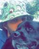 Donny is single in Oakdale, NY USA