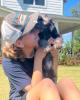 David is single in North Augusta, SC USA