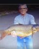 Jimmie is single in Shasta Lake, CA USA