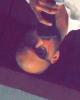 Rebar is single in Edmonton, AB CAN