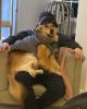 Jayden is single in Victor, NY USA