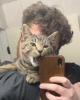 Brody is single in Merrimack, NH USA