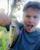 Chris is single in Lacey, WA USA