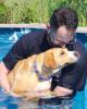 Roger is single in Hamburg, NY USA