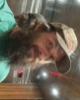 Tyler is single in Riverview, NB CAN