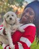Ebony is single in Spring Valley, CA USA