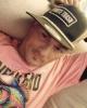 Stephen is single in West Point, MS USA