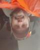 Russell is single in Hamilton, AL USA