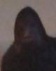 Al is single in Raynham, MA USA