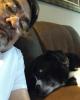 Gabriel is single in Pineville, MO USA