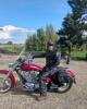 Ray is single in Grandview, WA USA